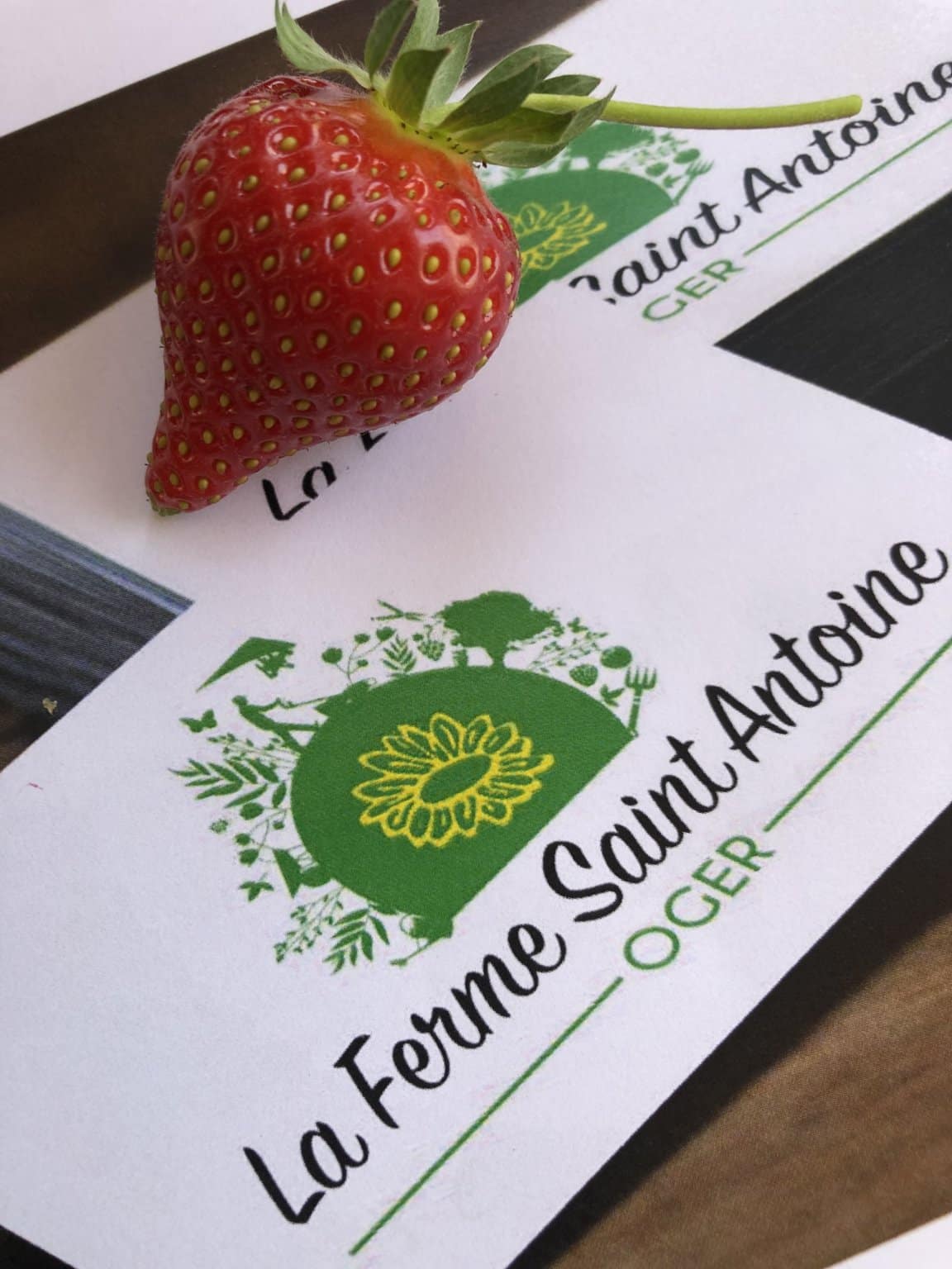 FRAISES BARQUETTE DE 500 Gr